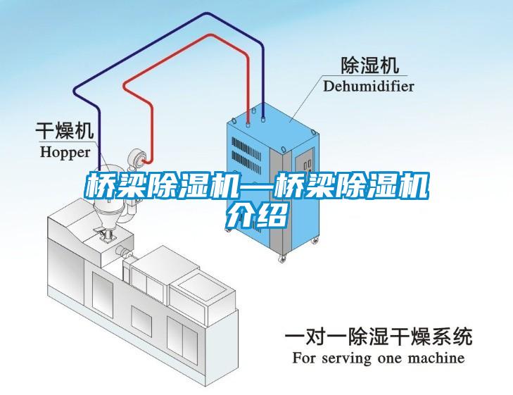 桥梁草莓视频APP在线观看—桥梁草莓视频APP在线观看介绍