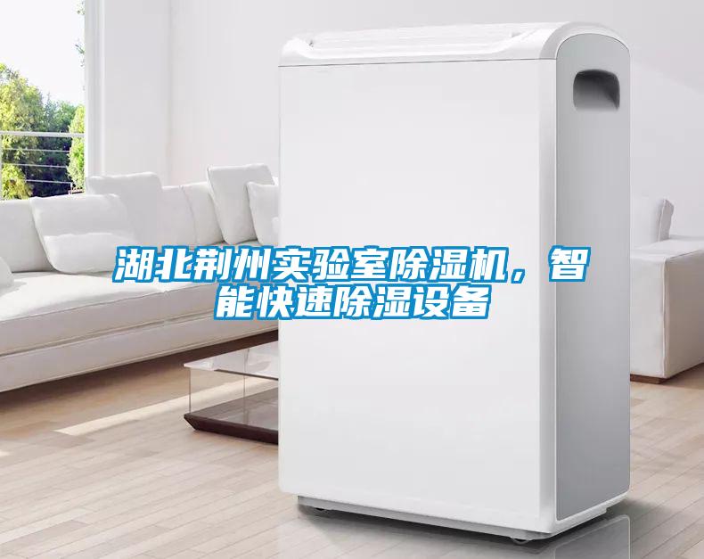 湖北荆州实验室草莓视频APP在线观看，智能快速除湿设备