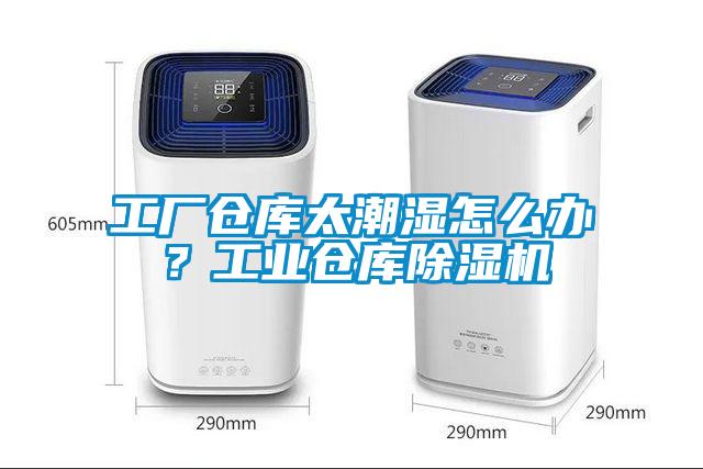 工厂仓库太潮湿怎么办？工业仓库草莓视频APP在线观看