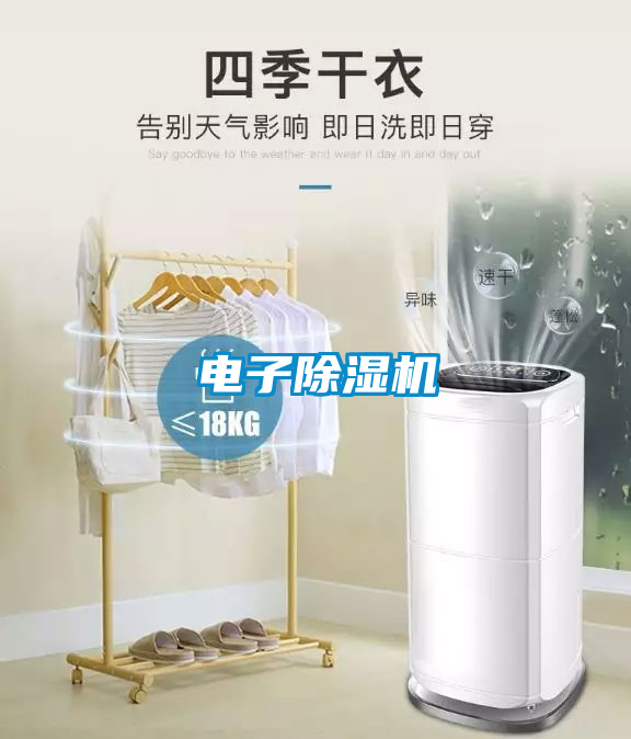电子草莓视频APP在线观看