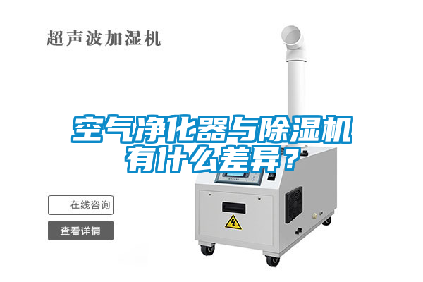 空气净化器与草莓视频APP在线观看有什么差异？