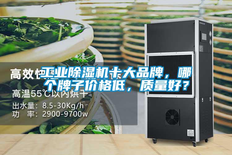 工业草莓视频APP在线观看十大品牌，哪个牌子价格低，质量好？