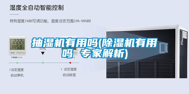 抽湿机有用吗(草莓视频APP在线观看有用吗 专家解析)