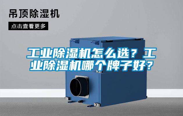 工业草莓视频APP在线观看怎么选？工业草莓视频APP在线观看哪个牌子好？