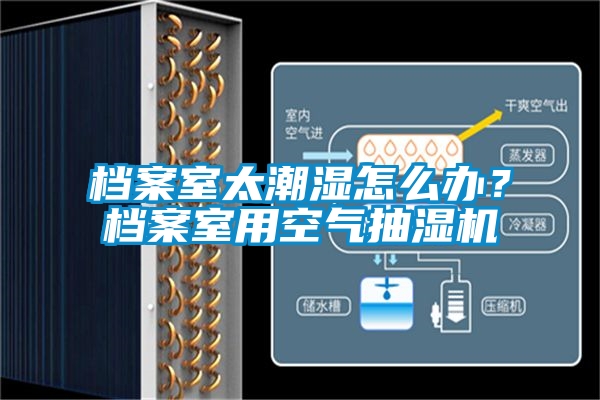 档案室太潮湿怎么办？档案室用空气抽湿机