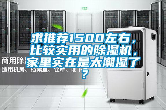 求推荐1500左右，比较实用的草莓视频APP在线观看，家里实在是太潮湿了？
