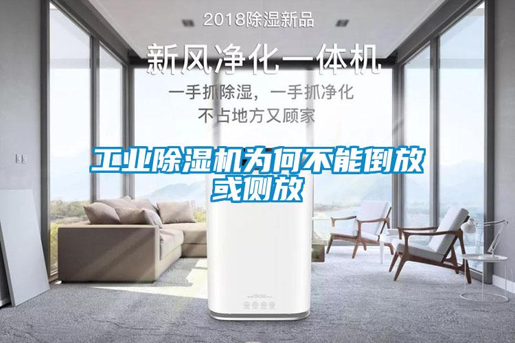 工业草莓视频APP在线观看为何不能倒放或侧放
