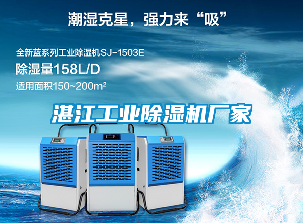 湛江工业草莓视频APP在线观看厂家