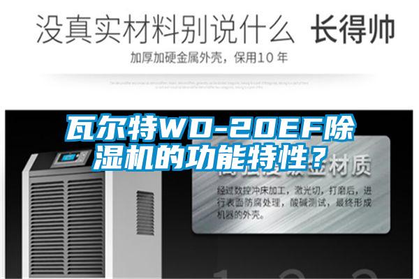 瓦尔特WD-20EF草莓视频APP在线观看的功能特性？