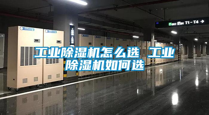 工业草莓视频APP在线观看怎么选 工业草莓视频APP在线观看如何选
