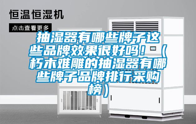 抽湿器有哪些牌子这些品牌效果很好吗！（朽木难雕的抽湿器有哪些牌子品牌排行采购榜）