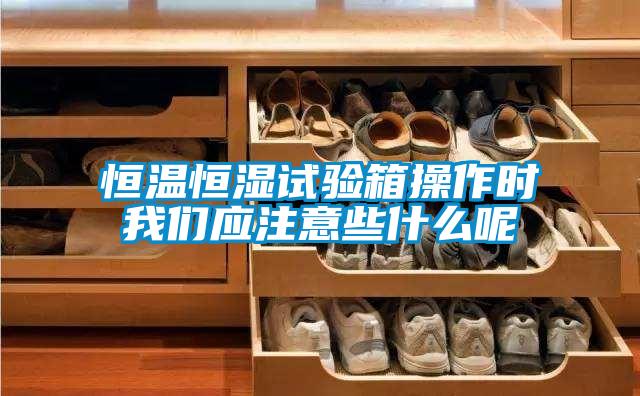 恒温恒湿试验箱操作时草莓视频污污版应注意些什么呢