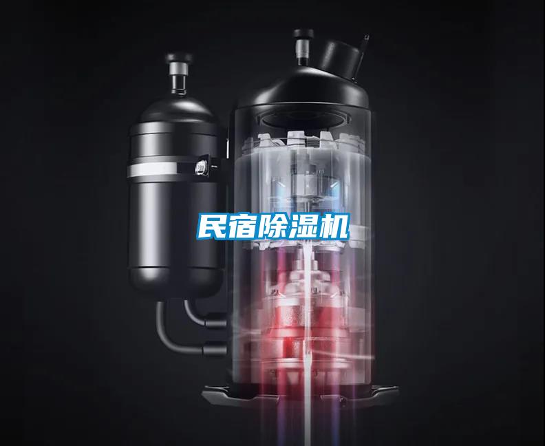 民宿草莓视频APP在线观看