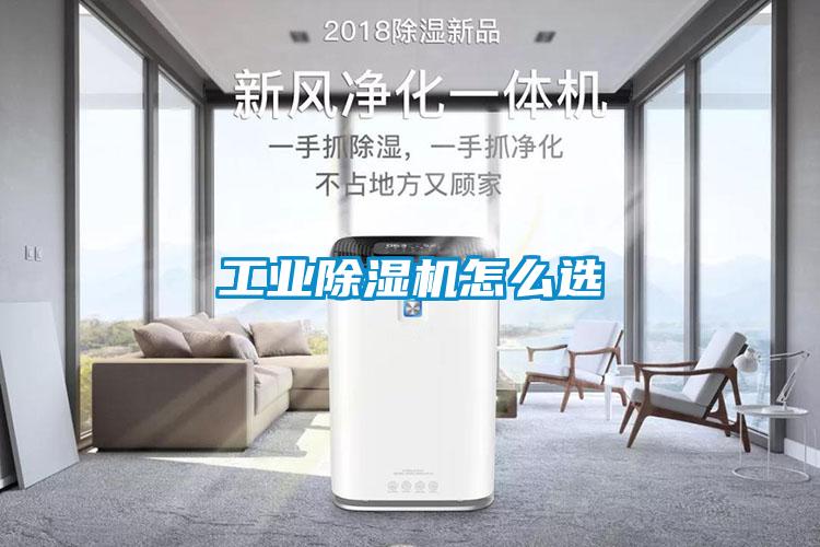 工业草莓视频APP在线观看怎么选
