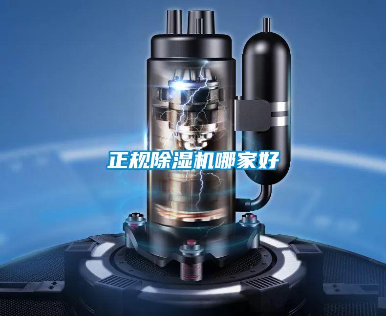 正规草莓视频APP在线观看哪家好