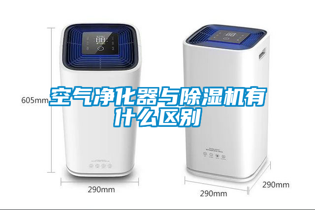 空气净化器与草莓视频APP在线观看有什么区别