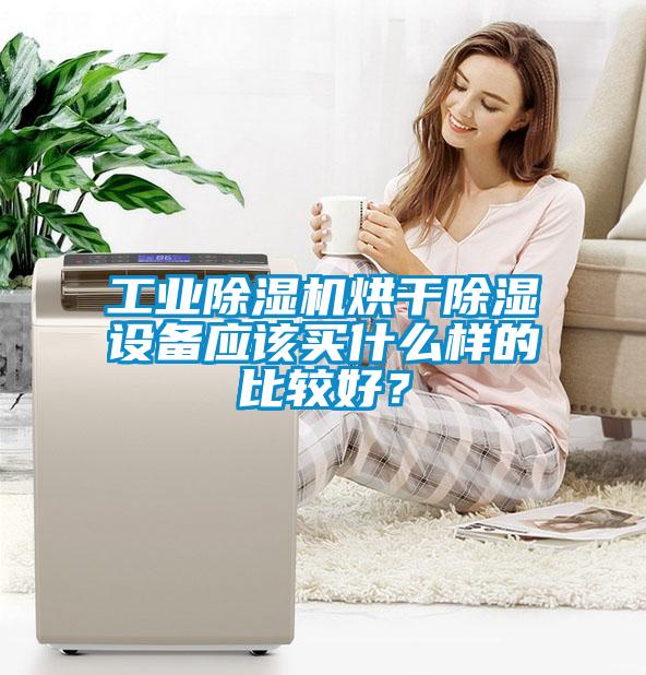 工业草莓视频APP在线观看烘干除湿设备应该买什么样的比较好？