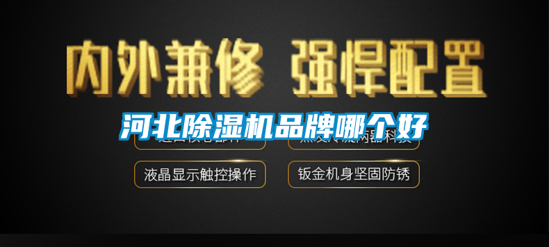河北草莓视频APP在线观看品牌哪个好