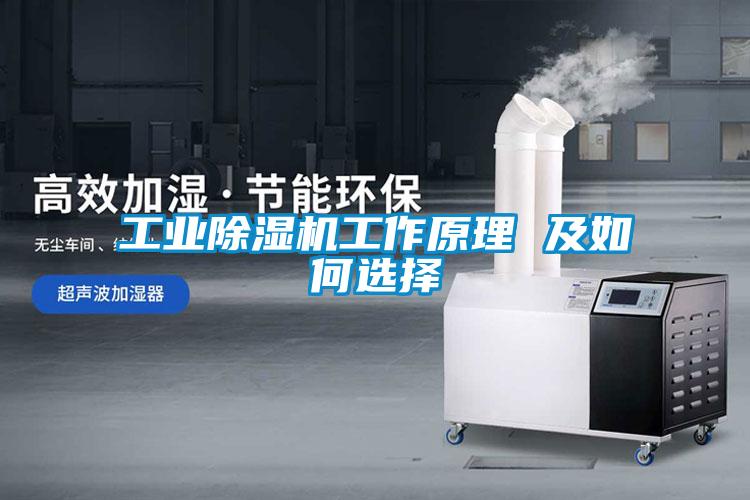 工业草莓视频APP在线观看工作原理 及如何选择
