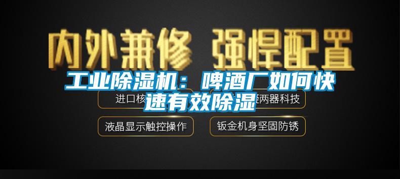 工业草莓视频APP在线观看：啤酒厂如何快速有效除湿