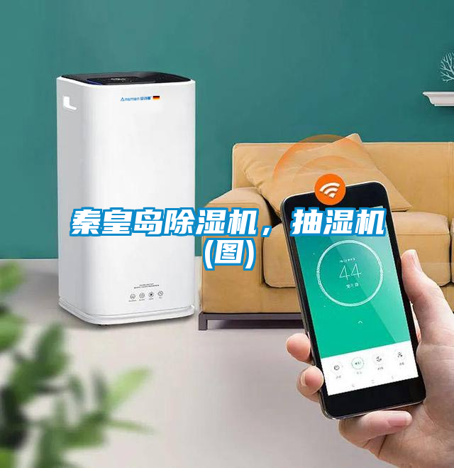 秦皇岛草莓视频APP在线观看，抽湿机(图)