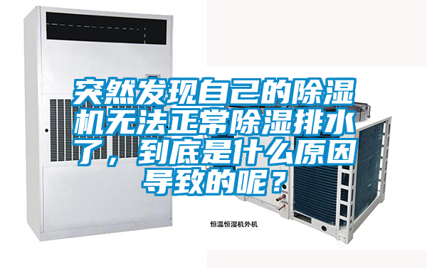 突然发现自己的草莓视频APP在线观看无法正常除湿排水了，到底是什么原因导致的呢？