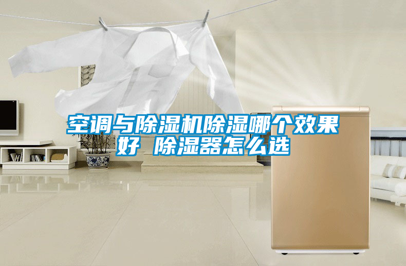 空调与草莓视频APP在线观看除湿哪个效果好 除湿器怎么选