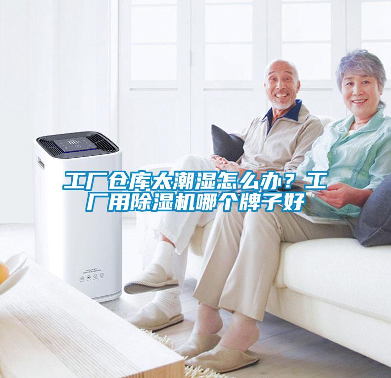 工厂仓库太潮湿怎么办？工厂用草莓视频APP在线观看哪个牌子好