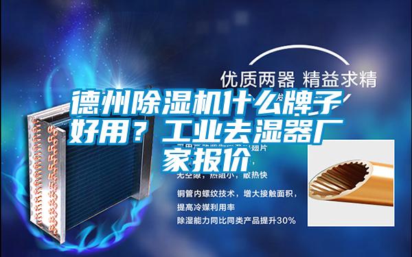 德州草莓视频APP在线观看什么牌子好用？工业去湿器厂家报价