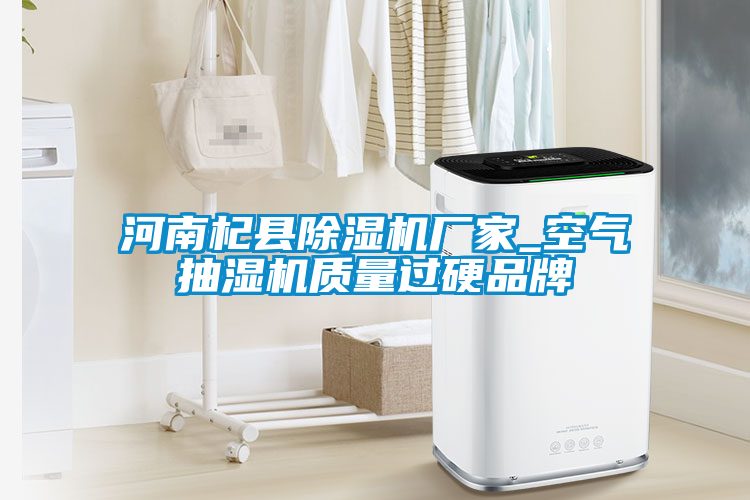 河南杞县草莓视频APP在线观看厂家_空气抽湿机质量过硬品牌