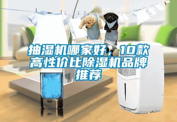 抽湿机哪家好，10款高性价比草莓视频APP在线观看品牌推荐