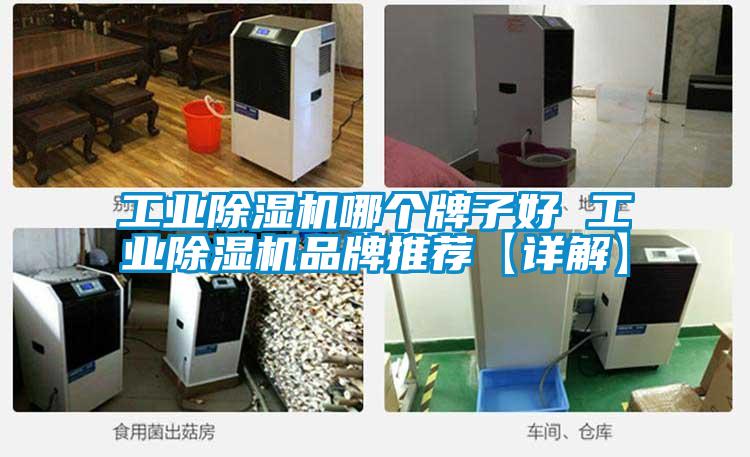 工业草莓视频APP在线观看哪个牌子好 工业草莓视频APP在线观看品牌推荐【详解】