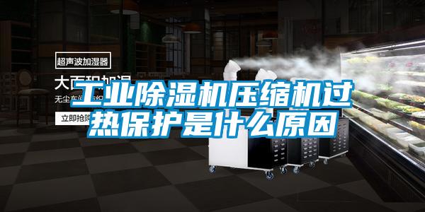 工业草莓视频APP在线观看压缩机过热保护是什么原因
