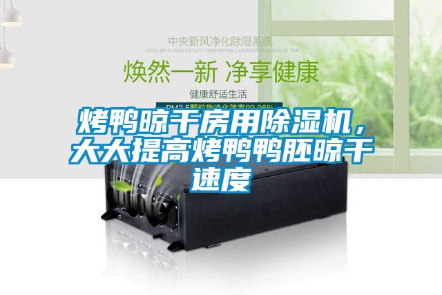 烤鸭晾干房用草莓视频APP在线观看，大大提高烤鸭鸭胚晾干速度