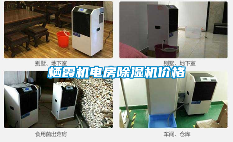 栖霞机电房草莓视频APP在线观看价格