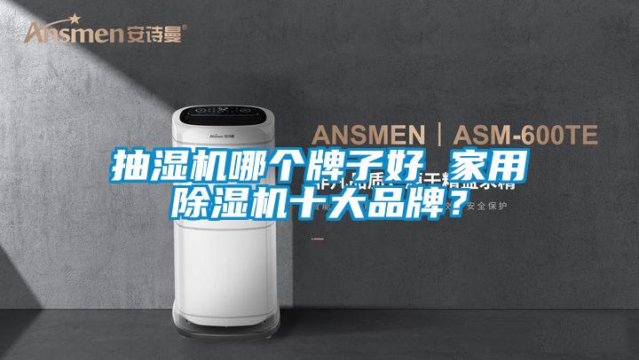 抽湿机哪个牌子好 家用草莓视频APP在线观看十大品牌？