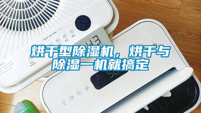 烘干型草莓视频APP在线观看，烘干与除湿一机就搞定