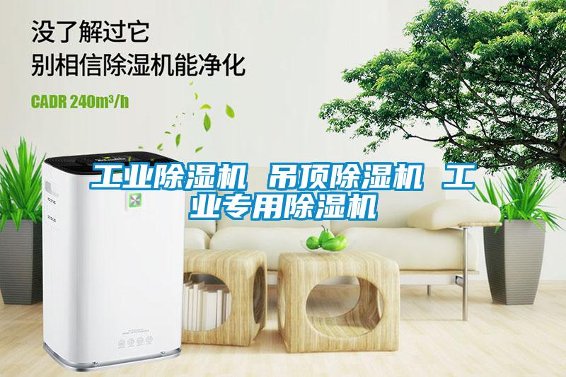 工业草莓视频APP在线观看 吊顶草莓视频APP在线观看 工业专用草莓视频APP在线观看