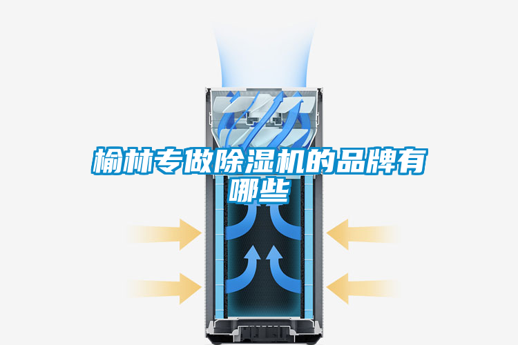 榆林专做草莓视频APP在线观看的品牌有哪些