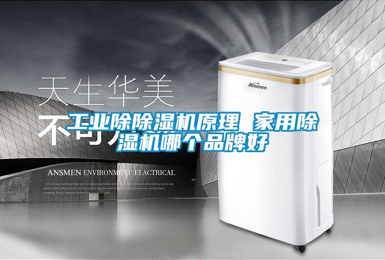 工业除草莓视频APP在线观看原理 家用草莓视频APP在线观看哪个品牌好
