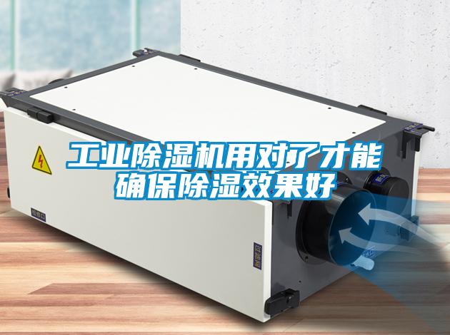 工业草莓视频APP在线观看用对了才能确保除湿效果好