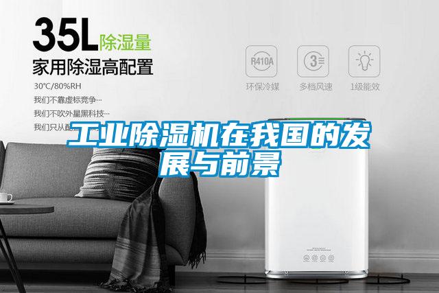 工业草莓视频APP在线观看在我国的发展与前景