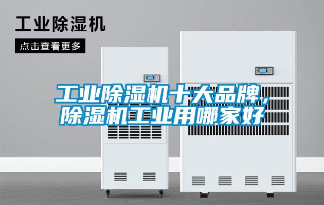 工业草莓视频APP在线观看十大品牌，草莓视频APP在线观看工业用哪家好
