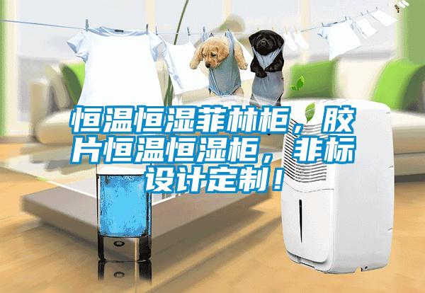恒温恒湿菲林柜，胶片恒温恒湿柜，非标设计定制！