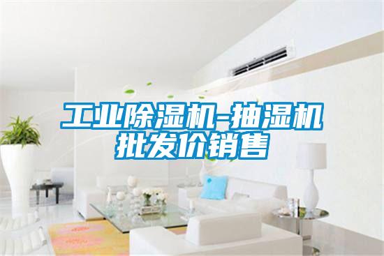 工业草莓视频APP在线观看-抽湿机批发价销售