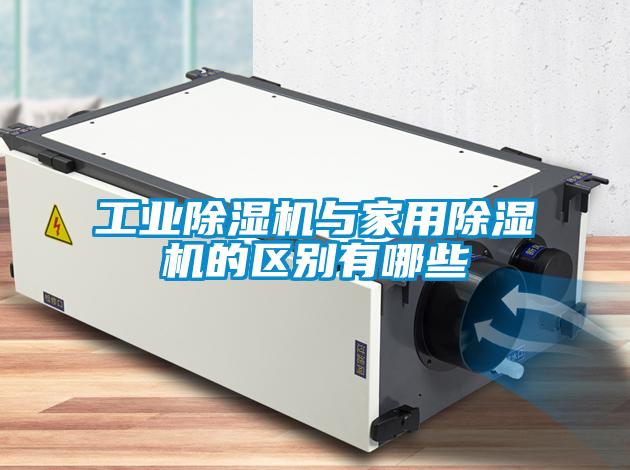 工业草莓视频APP在线观看与家用草莓视频APP在线观看的区别有哪些
