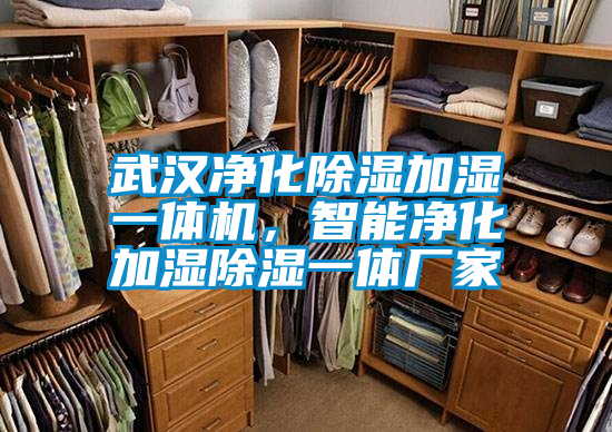 武汉净化除湿加湿一体机，智能净化加湿除湿一体厂家