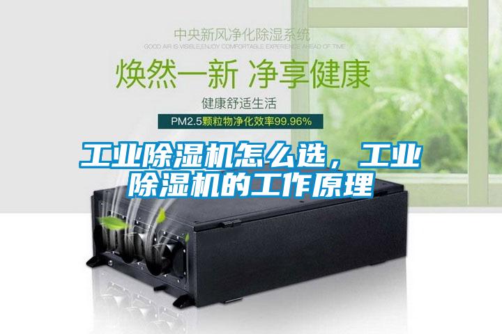 工业草莓视频APP在线观看怎么选，工业草莓视频APP在线观看的工作原理