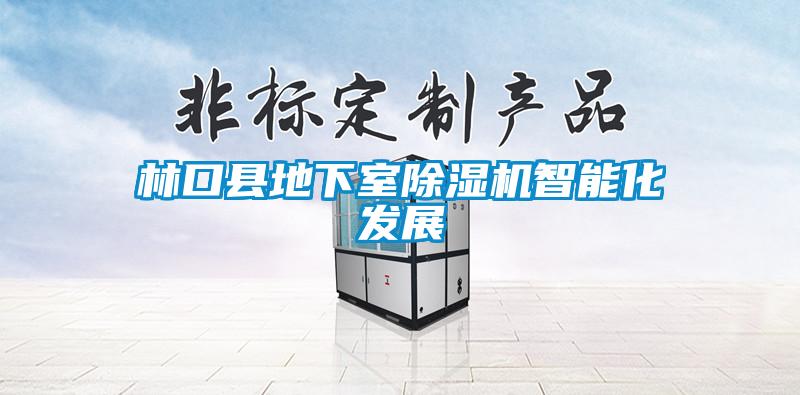 林口县地下室草莓视频APP在线观看智能化发展