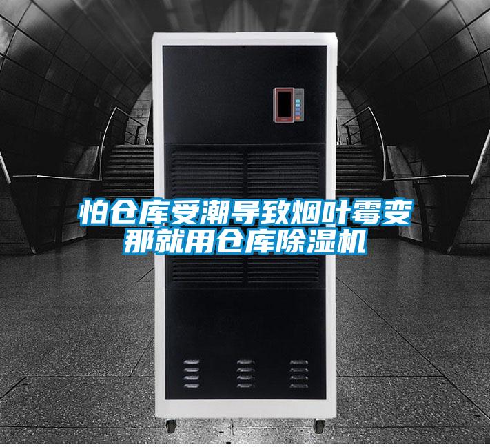 怕仓库受潮导致烟叶霉变那就用仓库草莓视频APP在线观看
